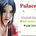 Palace #523. 416.792.4888 is Female Escorts. | Toronto | Ontario | Canada | EscortsLiaison