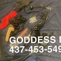 Goddess mel is Female Escorts. | windsor | Ontario | Canada | EscortsLiaison