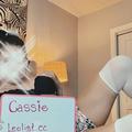 Cassie is Female Escorts. | Kelowna | British Columbia | Canada | EscortsLiaison