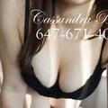 Cassandra 437.423.5687 is Female Escorts. | Toronto | Ontario | Canada | EscortsLiaison