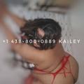 Kailey is Female Escorts. | Calgary | Alberta | Canada | EscortsLiaison