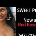 Red Rose Spa is Female Escorts. | Toronto | Ontario | Canada | EscortsLiaison