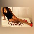 Venus Hot Sexy New At Newton   0435982390 is Female Escorts. | Adelaide | Australia | Australia | EscortsLiaison