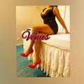 Venus Hot Sexy New At Newton   0435982390 is Female Escorts. | Adelaide | Australia | Australia | EscortsLiaison