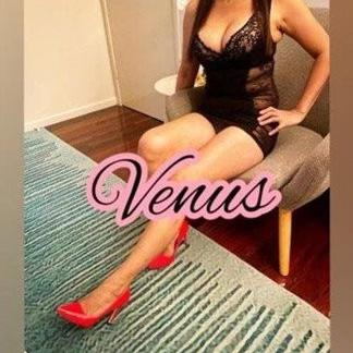Venus Hot Sexy New At Newton   0435982390 is Female Escorts. | Adelaide | Australia | Australia | EscortsLiaison
