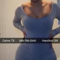  is Female Escorts. | Barrie | Ontario | Canada | EscortsLiaison