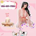  is Female Escorts. | sanjose | California | United States | EscortsLiaison