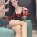  is Female Escorts. | Asheville | North Carolina | United States | EscortsLiaison