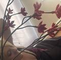 
                        sinderella
                     is Female Escorts. | Ft Mcmurray | Alberta | Canada | EscortsLiaison
