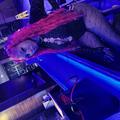  is Female Escorts. | Tallahassee | Florida | United States | EscortsLiaison