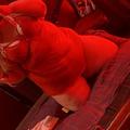 Sophiejae05 is Female Escorts. | Newcastle | Australia | Australia | EscortsLiaison