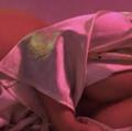 
                        Lola - CASH!!
                     is Female Escorts. | Fredericton | New Brunswick | Canada | EscortsLiaison