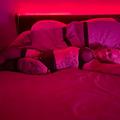  is Female Escorts. | Austin | Texas | United States | EscortsLiaison