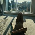  is Female Escorts. | Liverpool | United Kingdom | United Kingdom | EscortsLiaison