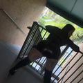  is Female Escorts. | Miami | Florida | United States | EscortsLiaison