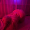  is Female Escorts. | Tyler | Texas | United States | EscortsLiaison