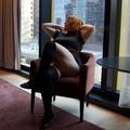 Ginger is Female Escorts. | Hobart | Australia | Australia | EscortsLiaison