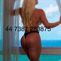  is Female Escorts. | Brighton | United Kingdom | United Kingdom | EscortsLiaison