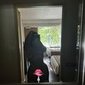  is Female Escorts. | Jacksonville | Florida | United States | EscortsLiaison