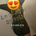 
                        BunnyXo.     (Cash Only)
                     is Female Escorts. | Owen Sound | Ontario | Canada | EscortsLiaison