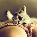
                        Eva
                     is Female Escorts. | Ft Mcmurray | Alberta | Canada | EscortsLiaison