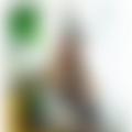  is Female Escorts. | Devon | United Kingdom | United Kingdom | EscortsLiaison