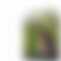  is Female Escorts. | Aberdeen | United Kingdom | United Kingdom | EscortsLiaison