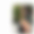  is Female Escorts. | Aberdeen | United Kingdom | United Kingdom | EscortsLiaison