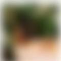  is Female Escorts. | Glasgow | United Kingdom | United Kingdom | EscortsLiaison