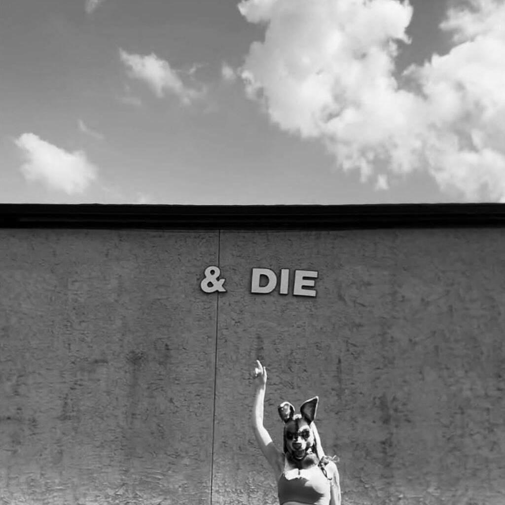 
                        Just sum girl you kno
                     is Female Escorts. | belleville | Ontario | Canada | EscortsLiaison