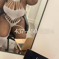 
                        Celine
                     is Female Escorts. | Guelph | Ontario | Canada | EscortsLiaison
