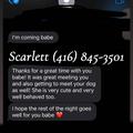 
                        Scarlett
                     is Female Escorts. | Kitchener | Ontario | Canada | EscortsLiaison