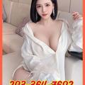  is Female Escorts. | Bridgeport | Connecticut | United States | EscortsLiaison