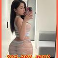  is Female Escorts. | Bridgeport | Connecticut | United States | EscortsLiaison