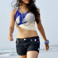 Chennai escorts is Female Escorts. | Chennai | India | India | EscortsLiaison