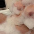 
                        Bubbles
                     is Female Escorts. | Kingston | Ontario | Canada | EscortsLiaison