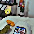  is Female Escorts. | Washington D.C. | District of Columbia | United States | EscortsLiaison