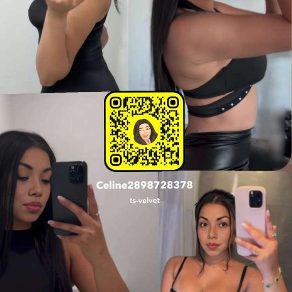  is Female Escorts. | Hamilton | Ontario | Canada | EscortsLiaison