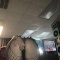  is Female Escorts. | Little Rock | Arkansas | United States | EscortsLiaison