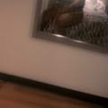  is Female Escorts. | Grand Rapids | Michigan | United States | EscortsLiaison