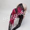 
                        dream cartier5195510832
                     is Female Escorts. | London | Ontario | Canada | EscortsLiaison