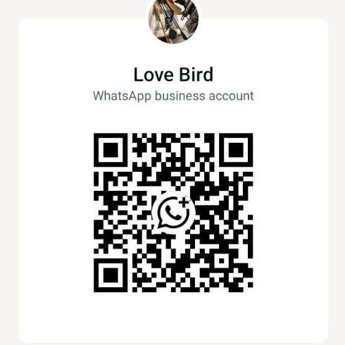  is Female Escorts. | Toledo | Ohio | United States | EscortsLiaison