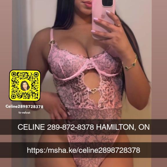  is Female Escorts. | Kitchener | Ontario | Canada | EscortsLiaison
