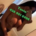 
                        Tania 438.401.8496
                     is Female Escorts. | Quebec City | Quebec | Canada | EscortsLiaison