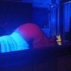  is Female Escorts. | Palm Bay | Florida | United States | EscortsLiaison