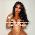 
                        Jessica Monroe
                     is Female Escorts. | Winnipeg | Manitoba | Canada | EscortsLiaison