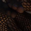  is Female Escorts. | Jacksonville | Florida | United States | EscortsLiaison
