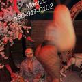  is Female Escorts. | Redding | California | United States | EscortsLiaison