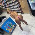  is Female Escorts. | Sioux Falls | South Dakota | United States | EscortsLiaison