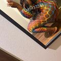  is Female Escorts. | Virginia Beach | Virginia | United States | EscortsLiaison
